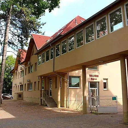 Wellness Szindbad 3* Balatonszárszó