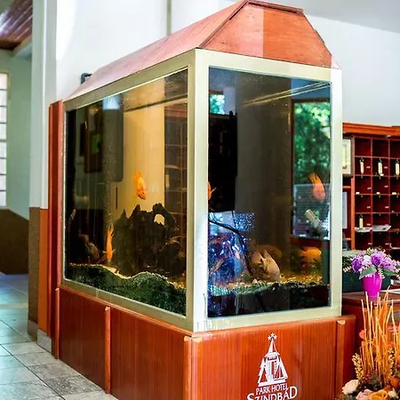 Wellness Szindbad