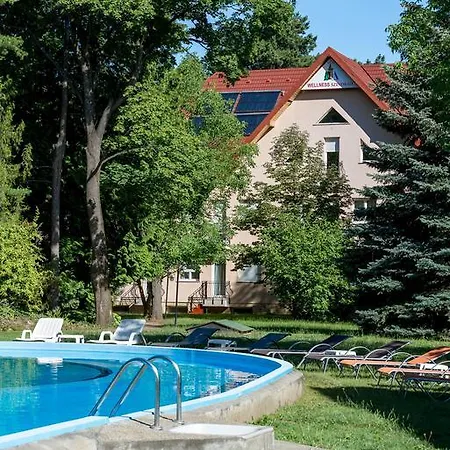 Wellness Szindbad Балатонсемеш