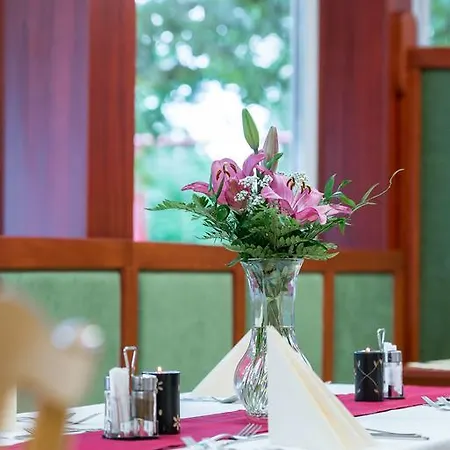 Hotel Wellness Szindbad 3*