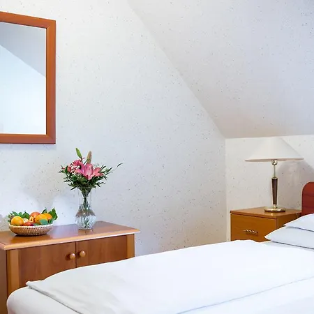 Hotel Wellness Szindbad 3*