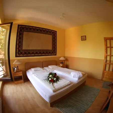 Отель Wellness Szindbad 3*