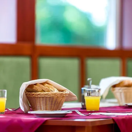 ホテル Wellness Szindbad 3*