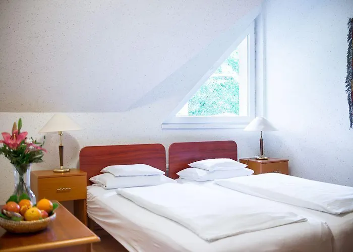 Hotell Wellness Szindbad Balatonszárszó